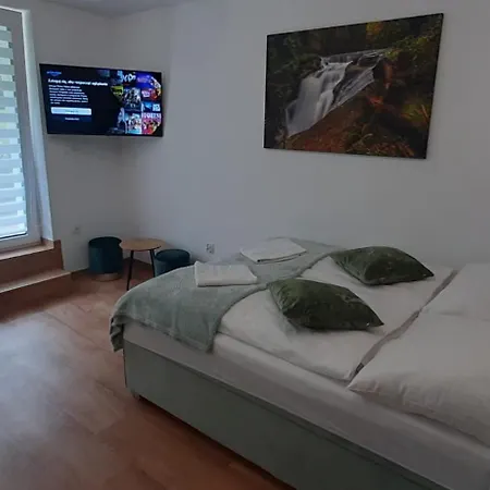 Rosa-apartamenty Z Prywatna Sauna Шклярська Поремба