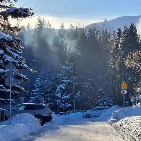 Villa Rosa-apartamenty Z Prywatna Sauna *